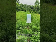 Parasietenval insectenval bietenval legerworm in maïs koolworm broccoli vangen