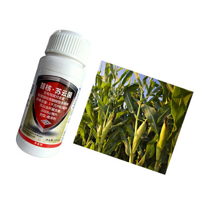 Cabbage worm diamondback moth organic pesticide farm tomato plants pest killer AcNPV 