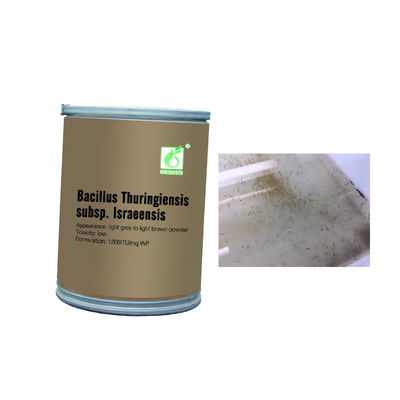 Summer Choice Top Mosquito Larvae Killer Bacillus Thuringiensis Insect Repellent