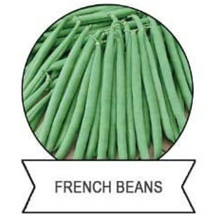 SeNPV Bacillus Thuringiensis WP Pesticide Kill Plant Pests Beet Armyworm Organic Certificate