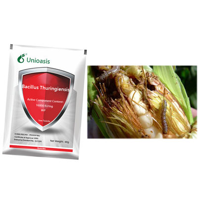 Cabbage Caterpillar Plutella Xylostella Killer Multi-use General Type Pesticide Bacillus Thuringiensis