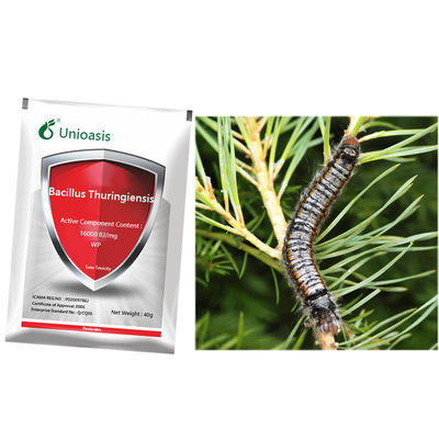 Tea Tree Cotton Insecticide Bacterial Bacillus Thuringiensis For Killing Nematode Lepidoptera