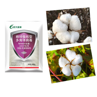 No Residue Biological Insecticide Approved By Authorities for Safe Pest Management in Organic Farming
