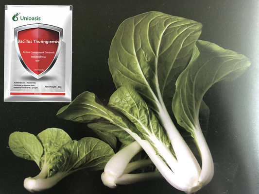 Agriculture Lepidoptera Pests Killer Bacillus Thuringiensis Vegetable Crops Microbial Pesticide