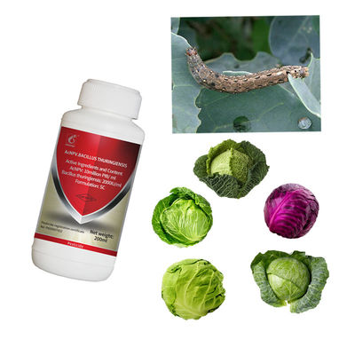 Long time effective biopesticide AcNPV BT corn vegetable pests killing non-resistance