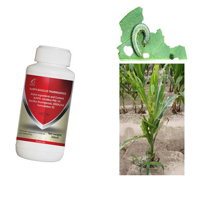 Pests killing organic pesticide manufacturer customized packing AcNPV agriculture filed